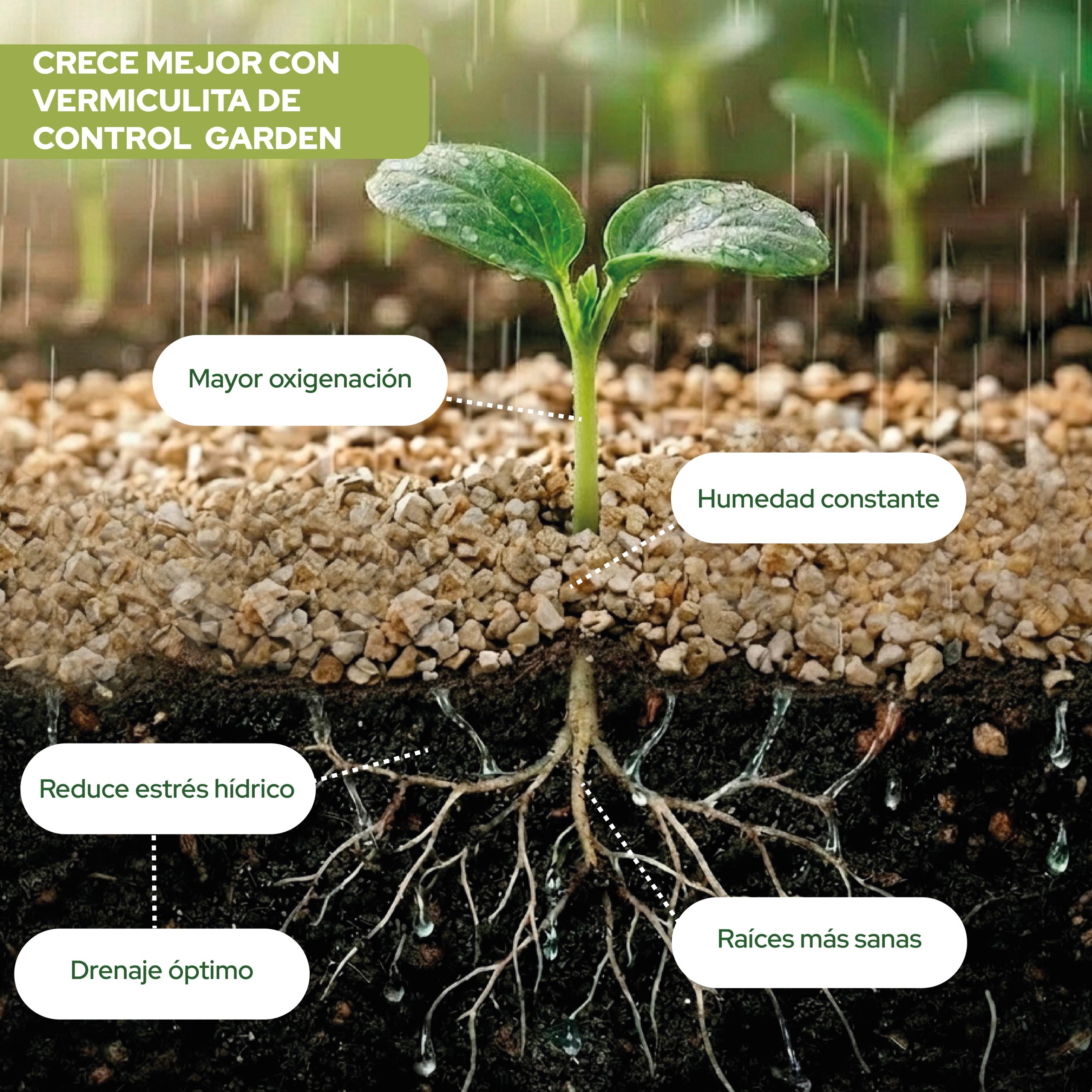 Vermiculita 10L para mejorar el sustrato de plantas · foto 2