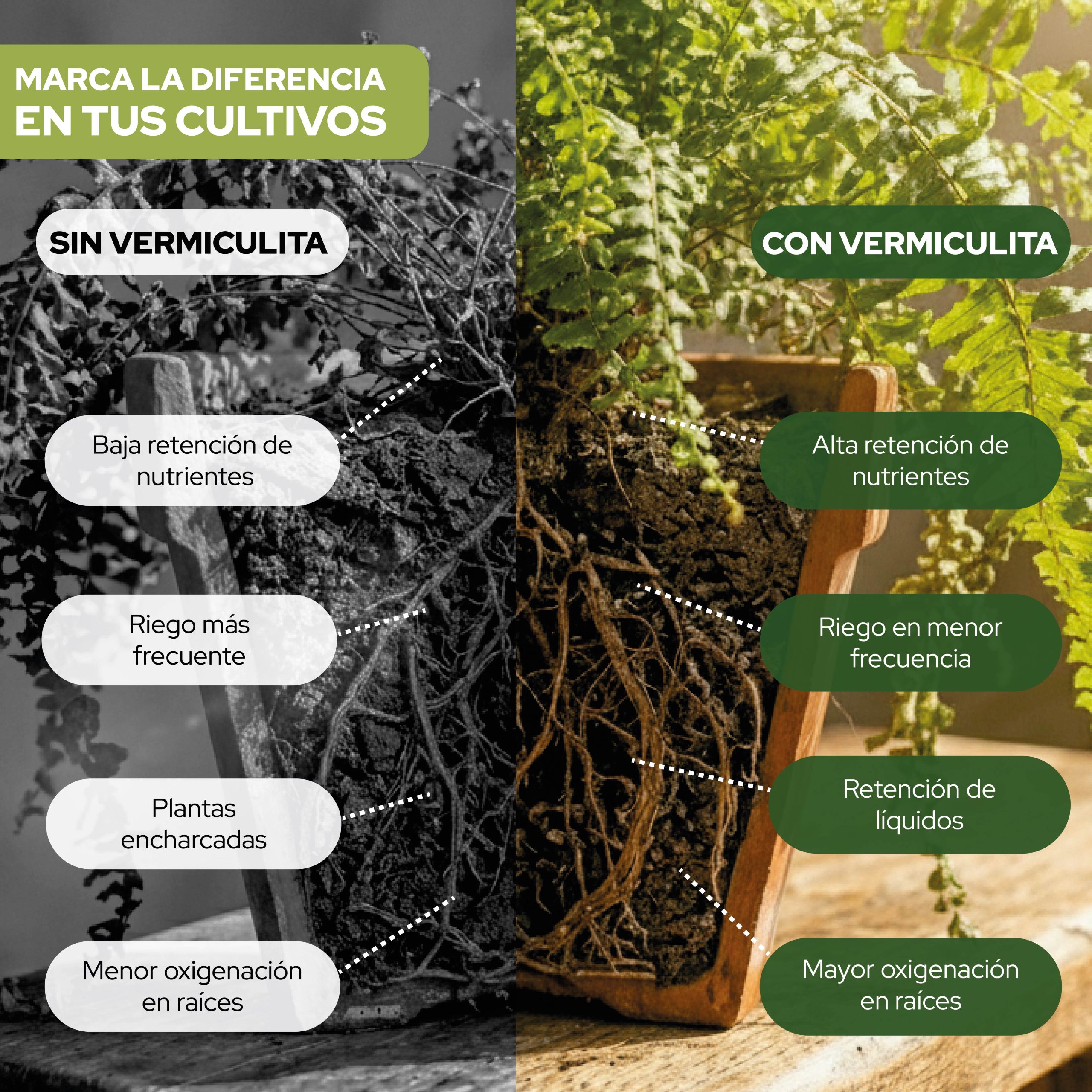 Vermiculita 6L para mejorar la retención de agua en cultivos. · foto 4