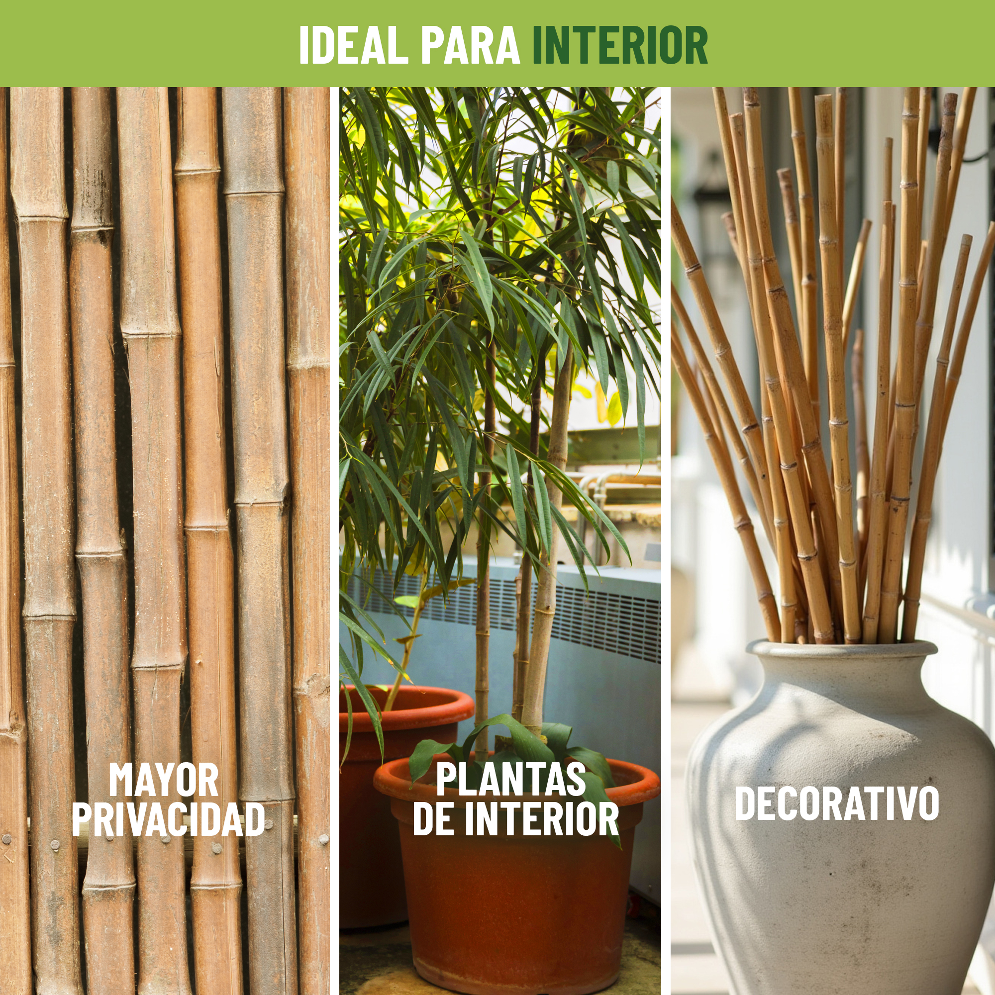 Pack de 30 tutores de bambú natural de 150 cm para soporte de plantas · foto 4