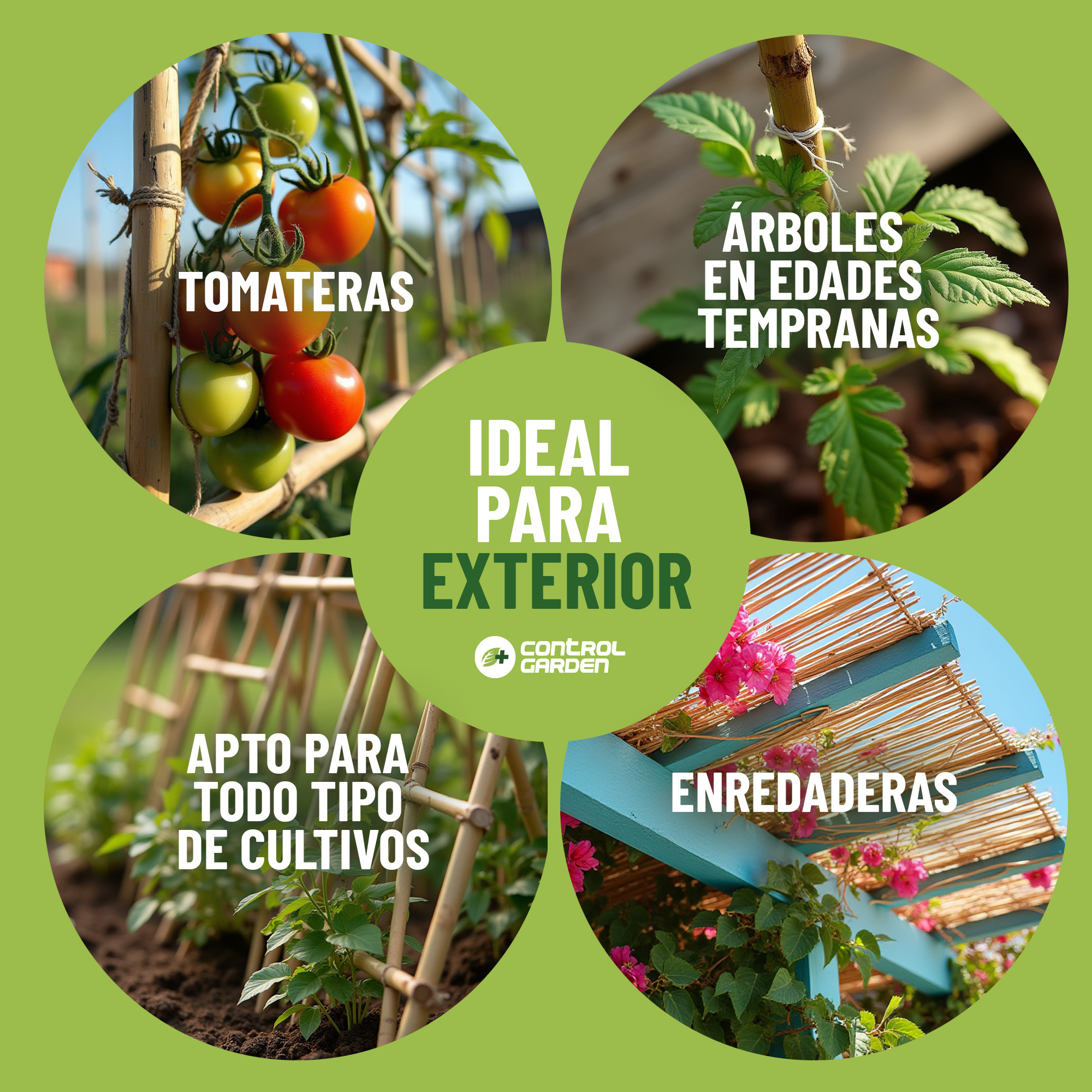Pack de 30 tutores de bambú natural de 150 cm para soporte de plantas · foto 5
