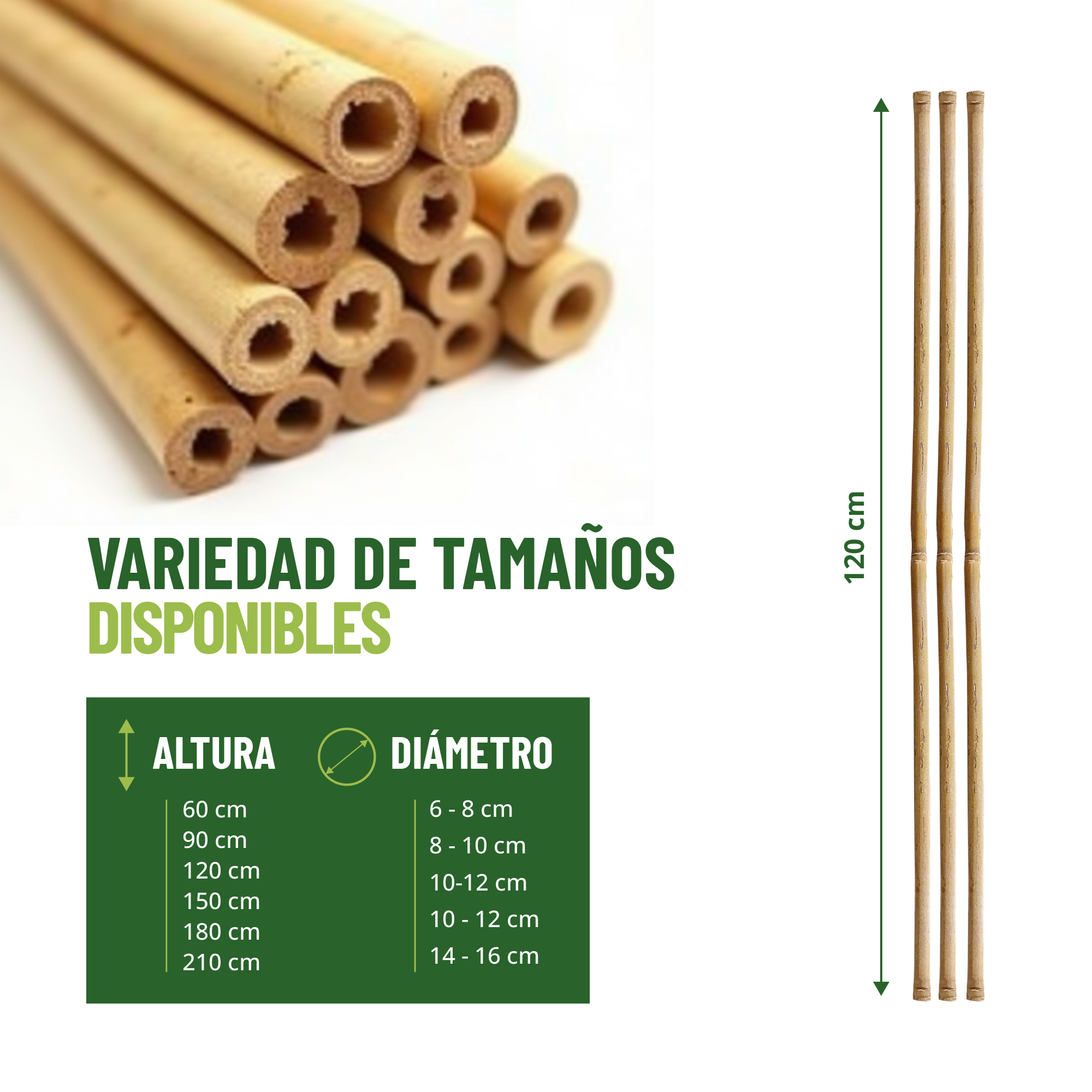 Pack de 30 tutores de bambú natural de 120 cm para soporte de plantas · foto 2